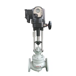 Electric Valve