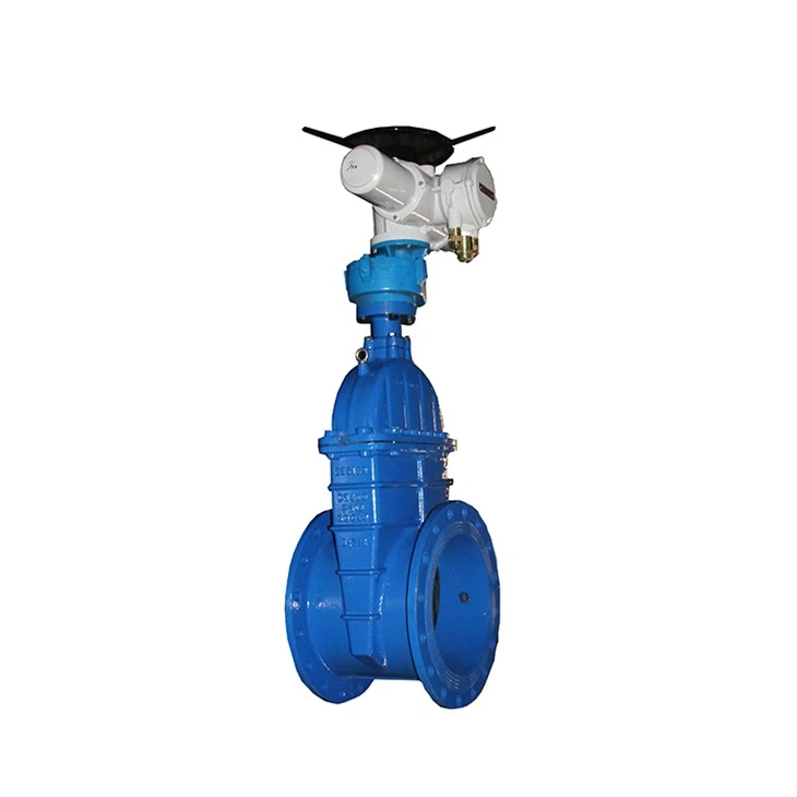 Resilient Seated Gate Pressure Reducing Valve