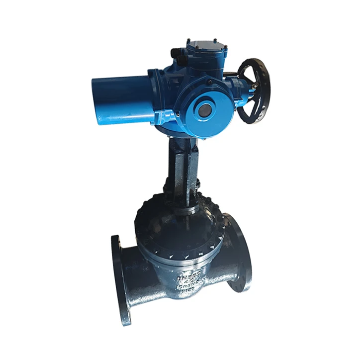 Dn350 Pn40 Rising Stem Sluice Gate Valve